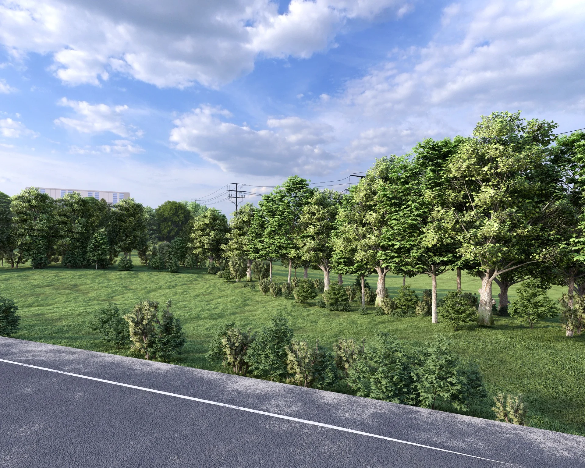 Street view from Highway O — tree line and vegetation screening campus from passersby